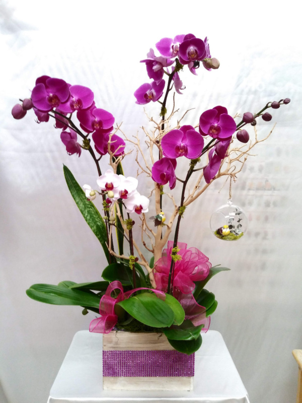 Flower #53457
