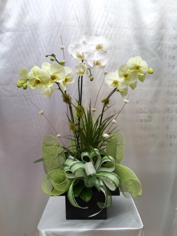 Flower #53455
