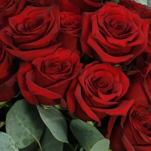 Valentine’s Day Flowers 2026