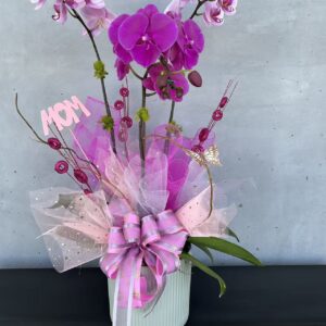 orchids#104