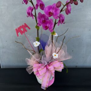 orchids#105